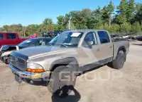 2004 Dodge DAKOTA фото