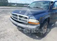 2004 Dodge DAKOTA photo