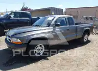 2004 Dodge DAKOTA photo