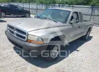 2004 Dodge DAKOTA photo