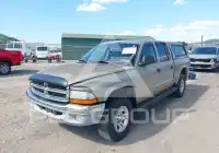 2004 Dodge DAKOTA photo