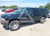 2004 Dodge DAKOTA photo
