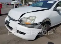 2004 Honda Accord photo