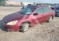 2004 Honda Accord photo