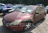 2004 Honda Accord photo