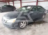 2004 Honda Accord фото