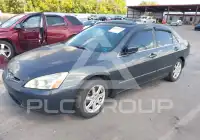 2004 Honda Accord photo
