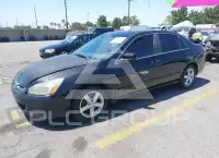 2004 Honda Accord фото
