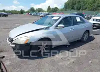 2004 Honda Accord photo