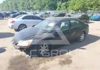 2004 Honda Accord photo