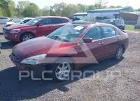 2004 Honda Accord фото