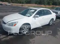 2004 Honda Accord photo