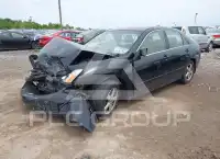 2004 Honda Accord photo