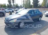 2004 Honda Accord photo