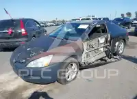 2004 Honda Accord фото