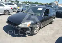 2004 Honda Accord фото