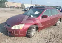 2004 Honda Accord photo