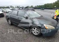 2004 Honda Accord фото