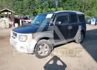 2004 Honda ELEMENT photo