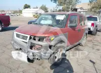 2004 Honda ELEMENT photo