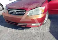 2004 Toyota COROLLA фото