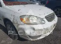 2004 Toyota COROLLA фото