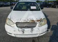 2004 Toyota COROLLA photo