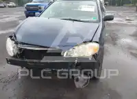 2004 Toyota COROLLA фото