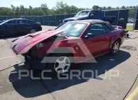 2004 Ford MUSTANG photo