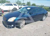 2005 Nissan MAXIMA фото