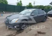 2005 Nissan MAXIMA фото