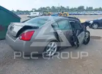 2005 Nissan MAXIMA фото