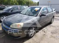 2005 Chevrolet Malibu фото