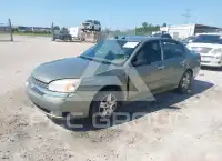 2005 Chevrolet Malibu фото