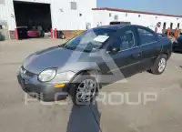 2005 Dodge NEON photo