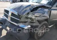 2005 Dodge DAKOTA photo