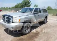 2005 Dodge DAKOTA photo