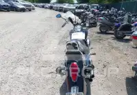 2005 Honda VT750 фото