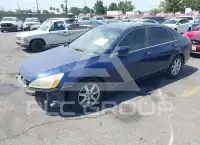 2005 Honda Accord фото