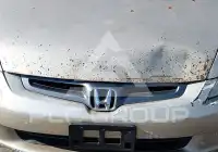 2005 Honda Accord фото