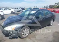 2005 Honda Accord фото