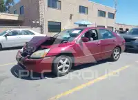 2005 Honda Accord photo