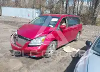 2005 Honda ODYSSEY photo