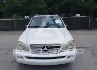 2005 Mercedes Benz ML 350 фото