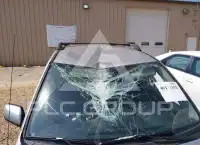 2005 Toyota RAV4 фото