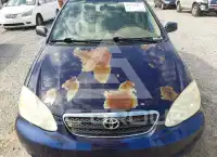 2005 Toyota COROLLA фото