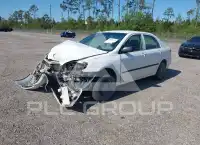 2005 Toyota COROLLA фото