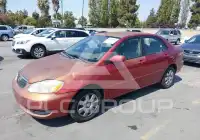2005 Toyota COROLLA фото