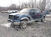 2005 Ford F-250 photo