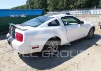 2005 Ford MUSTANG photo